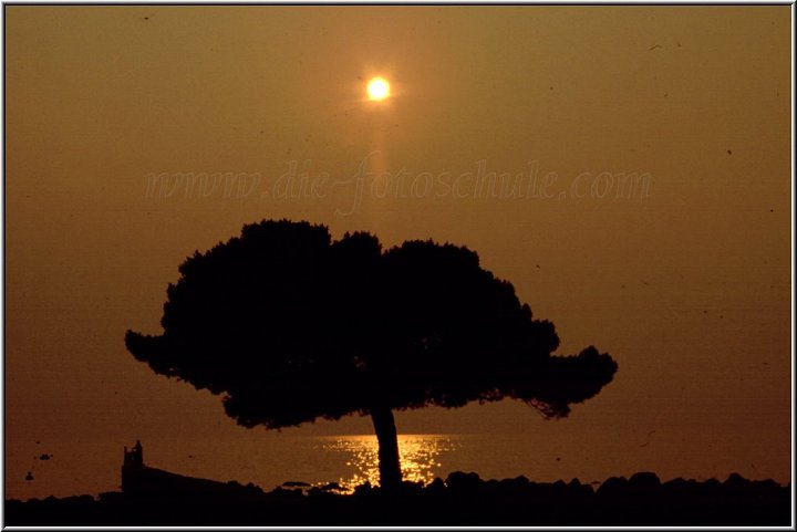 Baum Sonnenuntergang am Meer.jpg - Diese Motive findest Du nicht direkt in Venedig, sondern in der Region Venetien, das Land rund um Venedig. Hier geht es beschaulicher zu und man erkennt gleich, daß sich aus der Historie heraus immer alles auf die zentrale Stadt ausrichtete.